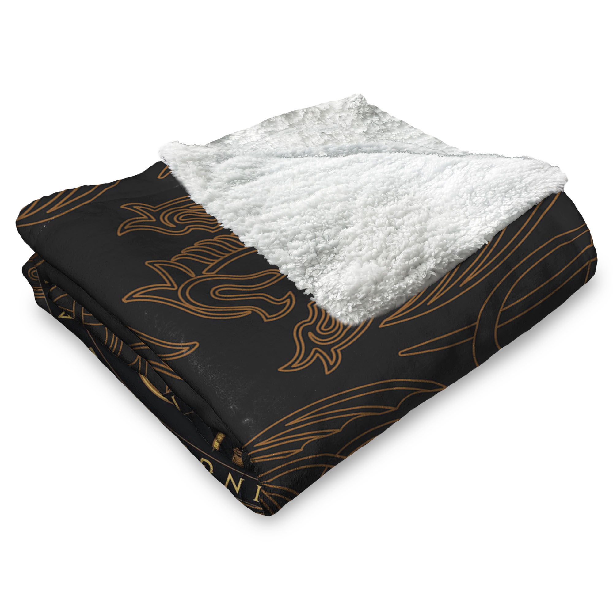 Warner Bros. House of the Dragon Dragons Did Silk Touch Sherpa Throw Blanket 50x60 Inches, BLACK, alternate image number 3