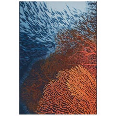 Liora Manne Marina Coral Indoor/Outdoor Rug