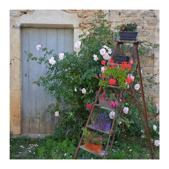 All Weather All Season Outdoor Canvas Art, MULTI, hi-res image number null