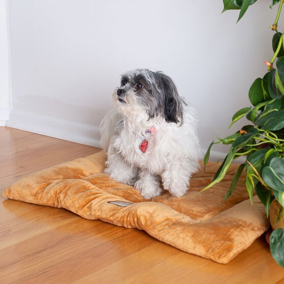 Pet Bed Mat, Dog Crate Soft Pad With Poly Fill Cushion, Medium Earth Brown, , on-hover image number null