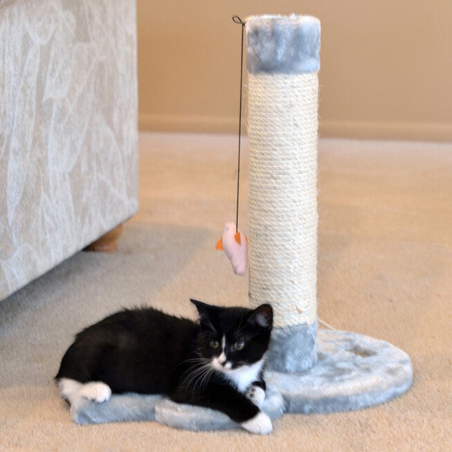 Mouse Shape Real Wood Cat Scratcher Toy, Sisal Scratching Post, , on-hover image number 1
