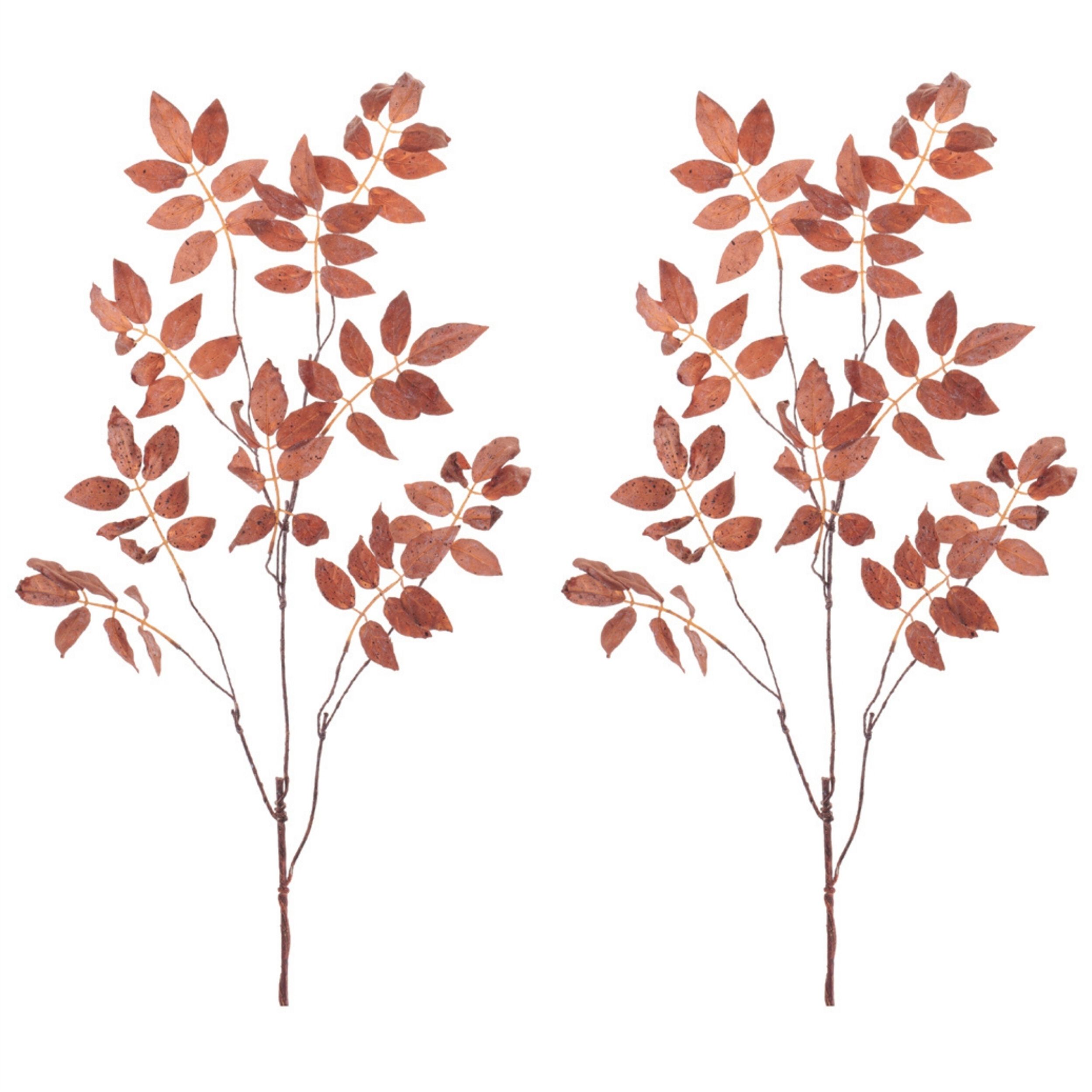 Autumn Leaf Spray (Set of 2), BROWN, alternate image number 2