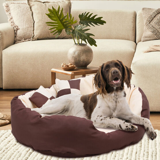Happycare Tex Durable Bolster sleeper Oval Pet bed with removable reversible insert cushion and additional two pillow , Large 34 by 27 inches ,Brown to Beige, BROWN, hi-res image number null