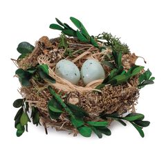 Twig Bird Nest with Eggs and Boxwood Foliage Set of 12