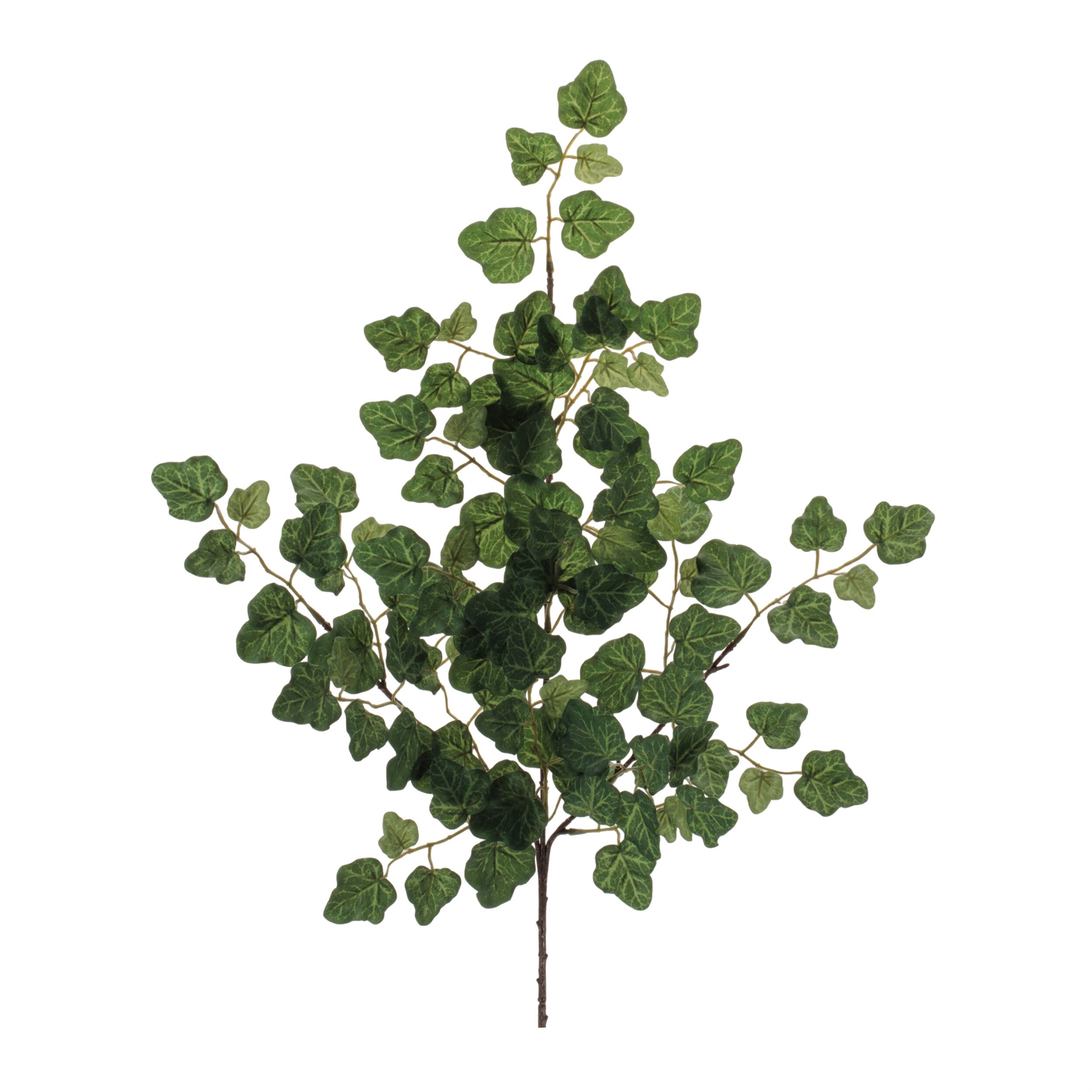 Ivy Foliage Spray Set of 6, GREEN, hi-res image number 0