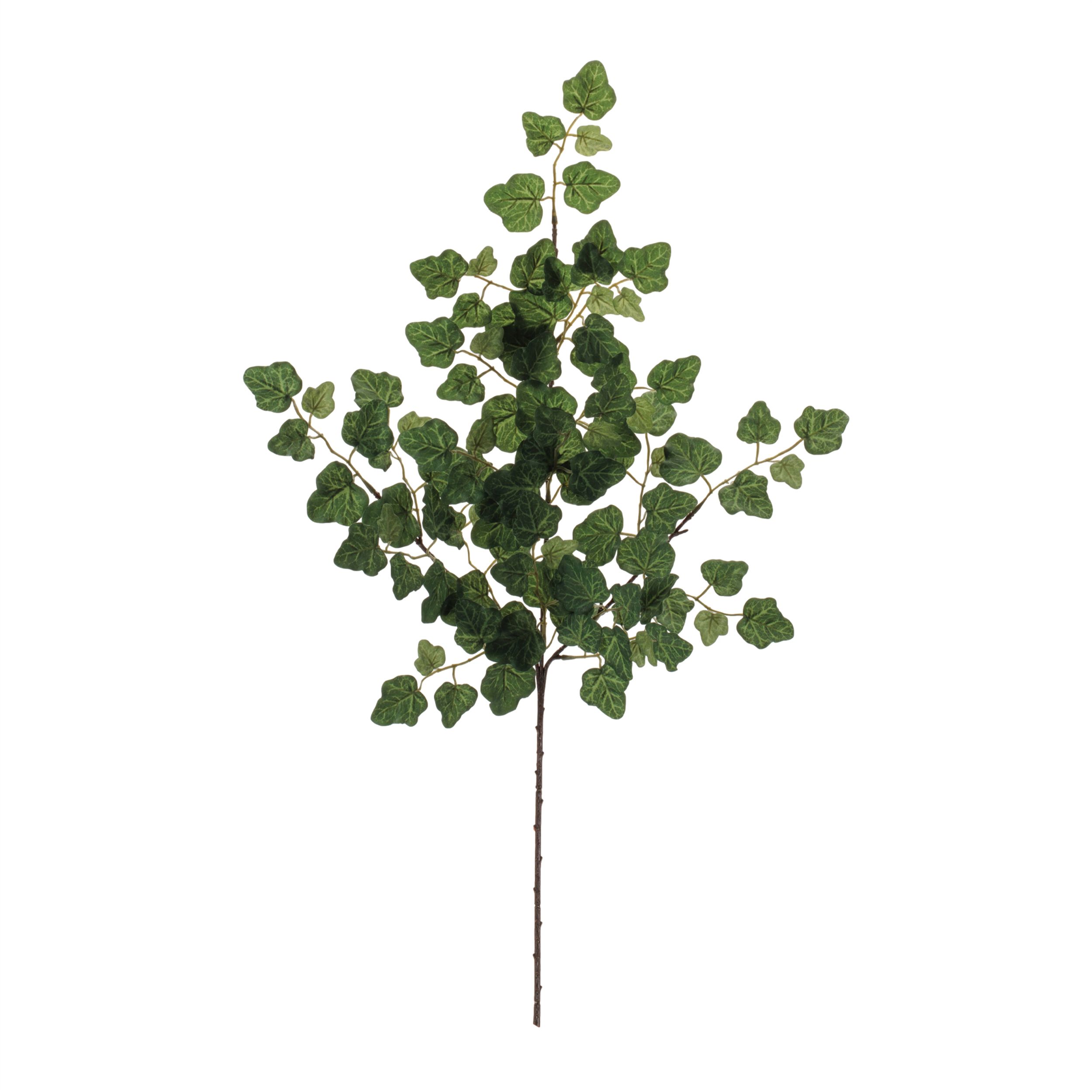Ivy Foliage Spray Set of 6, GREEN, alternate image number 1