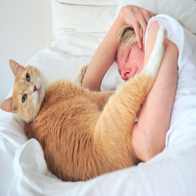 Pet Agree Basic Allergens Free Waterproof Mattress Pad, , alternate image number 4
