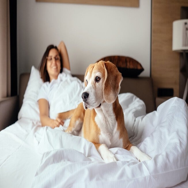 Pet Agree Basic Allergens Free Waterproof Mattress Pad, , alternate image number 3