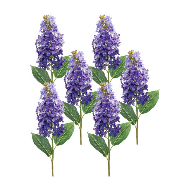 Varigated Purple Lilac Flower Stem (Set Of 6), , alternate image number null
