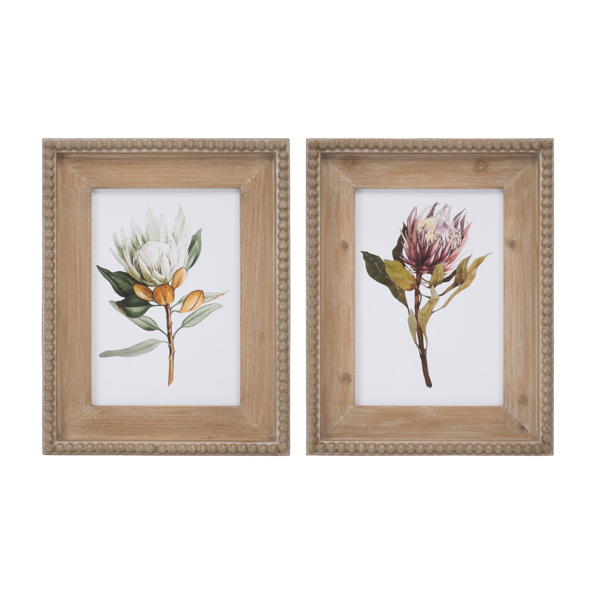 Wood Framed Protea Floral Print (Set of 2), GREEN WHITE BROWN, hi-res image number 0
