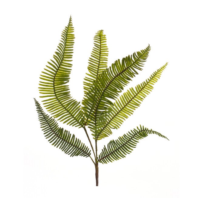 Varigated Fern Foliage Spray (Set Of 6), GREEN, hi-res image number 0