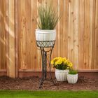 Curlicue Single Plant Stand, , alternate image number null