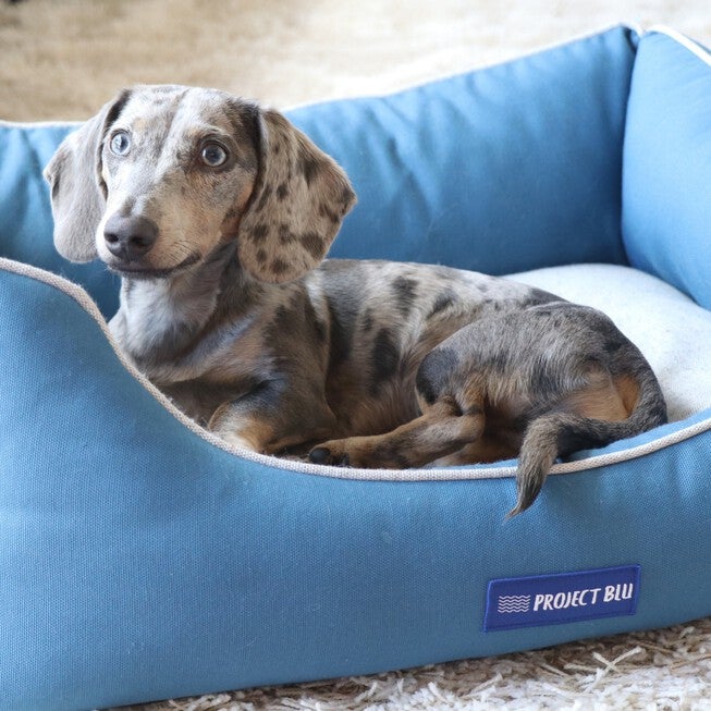 Marlin Eco-Fabric Mattress Dog Bed, , alternate image number null
