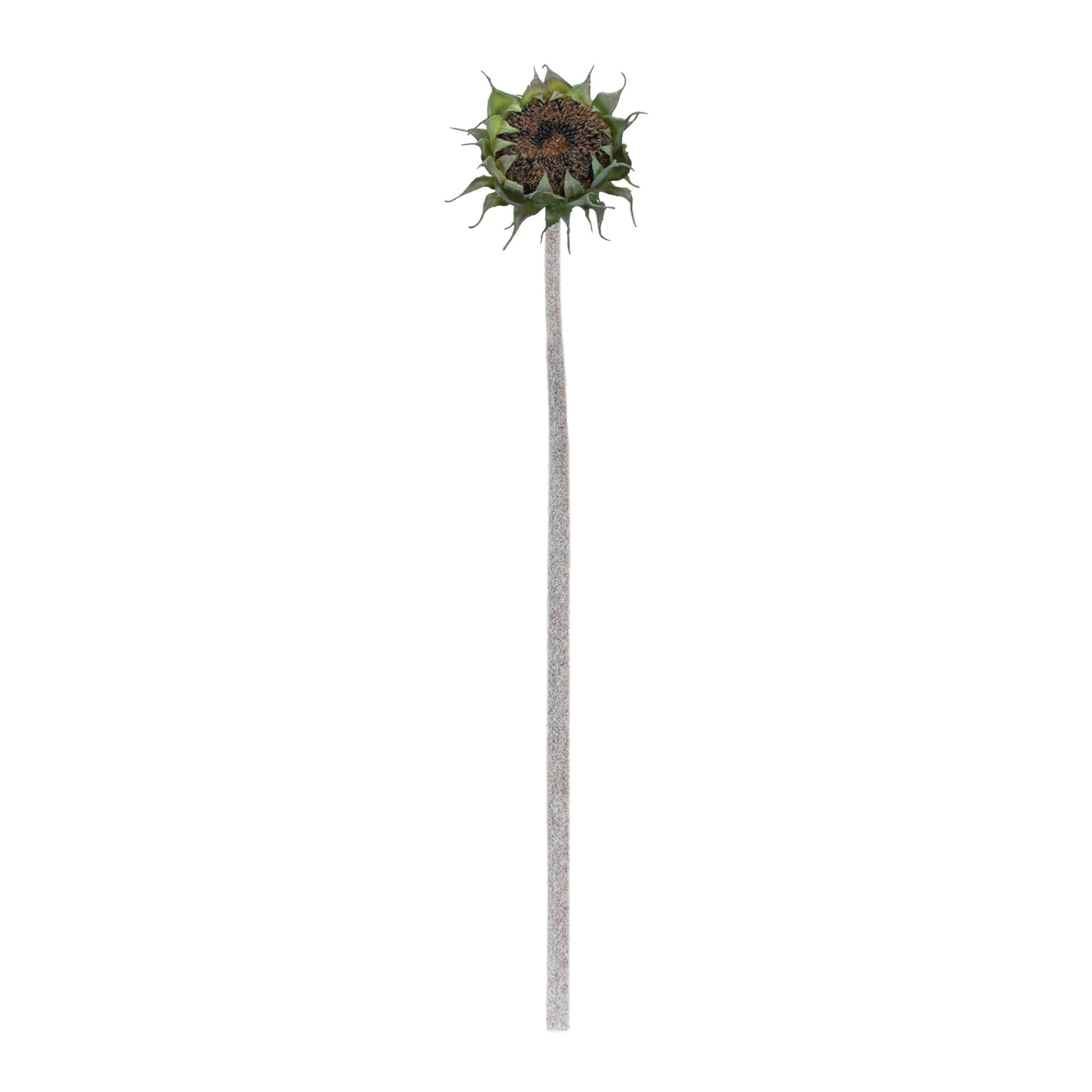 Brown Sunflower Stem (Set of 6), BLACK/GREEN, alternate image number 1