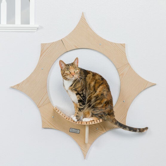 Sun Shape Cat Wall Shelves, , alternate image number null
