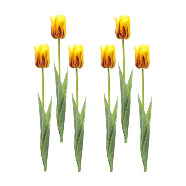 Yellow And Red Tulip Stem (Set Of 6), , alternate image number null