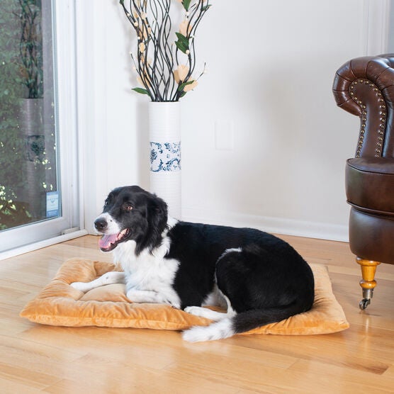Pet Bed Mat, Dog Crate Soft Pad With Poly Fill Cushion, Medium Earth Brown, , alternate image number null