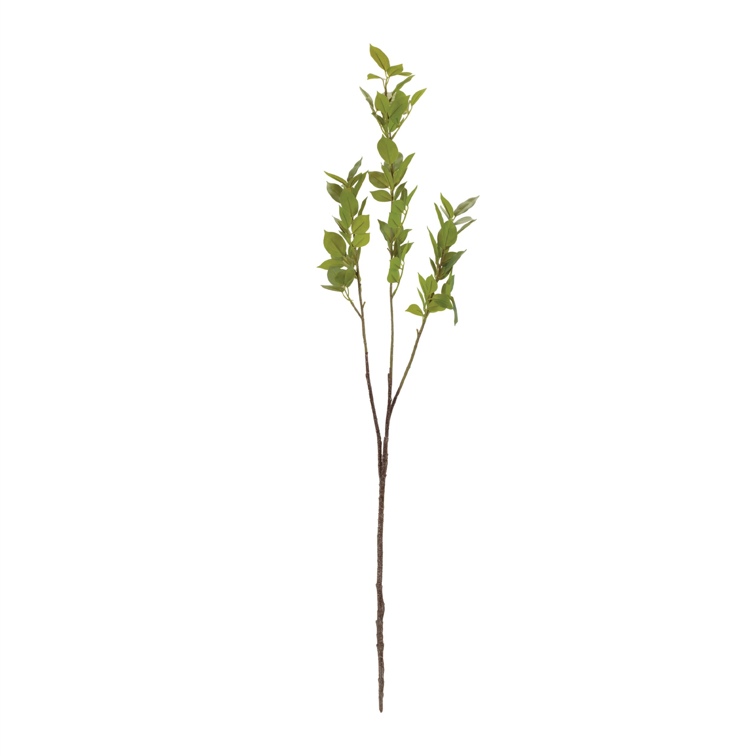 Leaf Foliage Branch Set of 6, GREEN, alternate image number 1