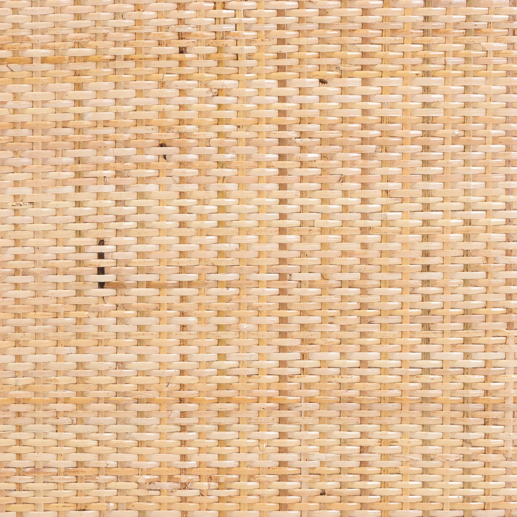 Maryland Modern Bohemian Natural Rattan and Acacia Wood Counter Stool, , alternate image number 12