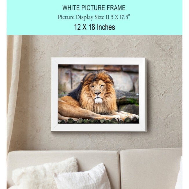 Black Wood Picture Frame With Polished Plexiglass, , alternate image number null