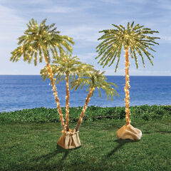 Palm Tree Collection, 