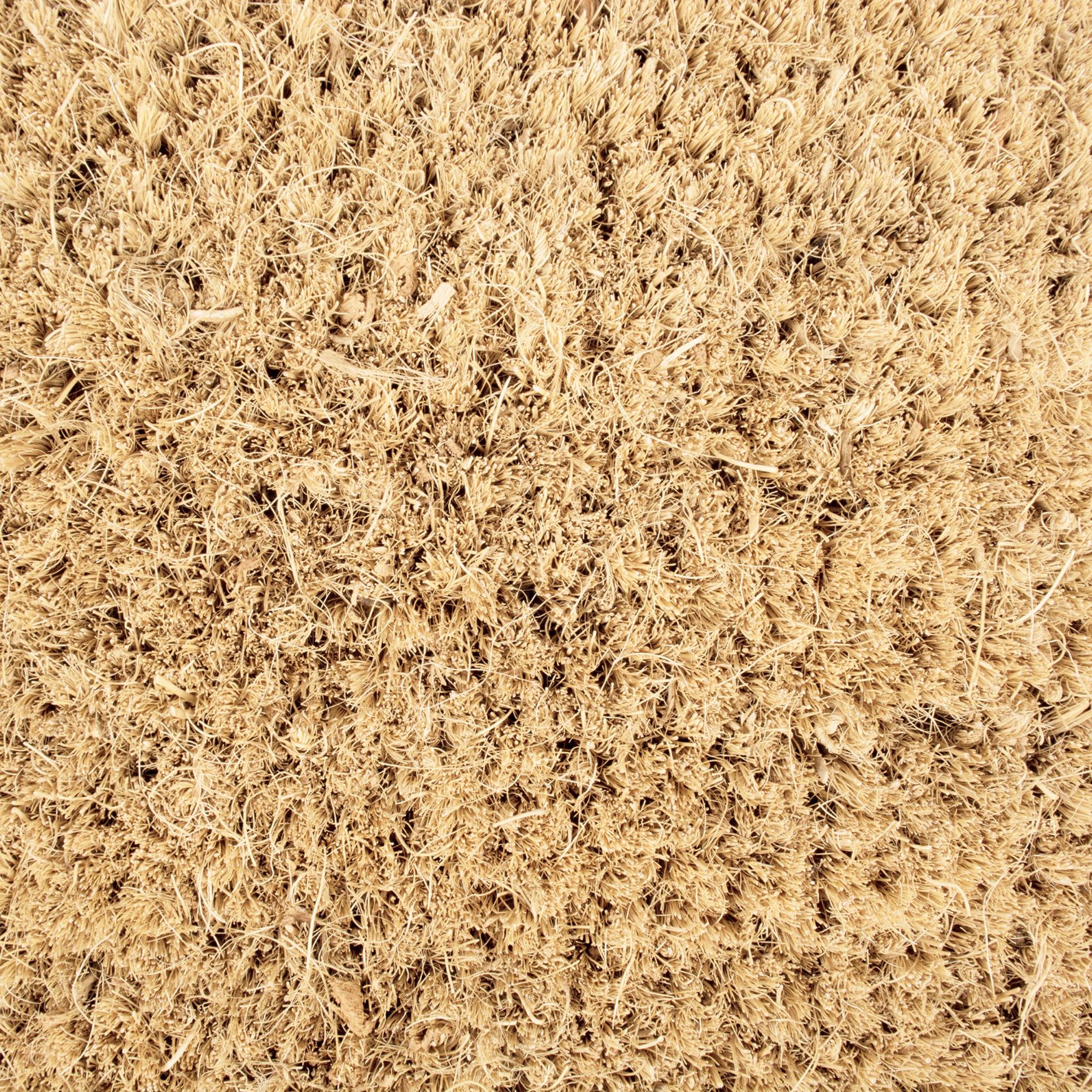 Cactus Doormat Floor Coverings, , alternate image number 6