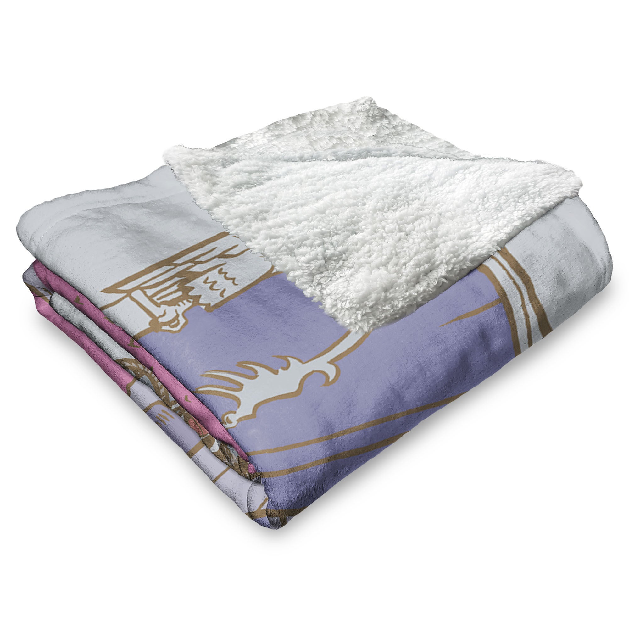 Warner Bros. The Wizard of Oz Wicked Witch Silk Touch Sherpa Throw Blanket 50x60 Inches, GRAY, alternate image number 3