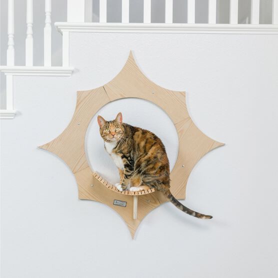 Sun Shape Cat Wall Shelves, , alternate image number null
