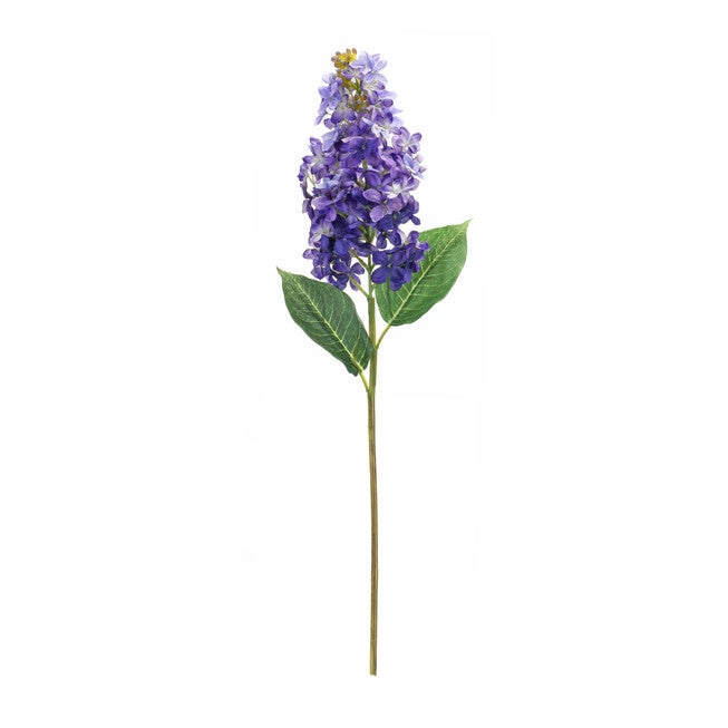 Varigated Purple Lilac Flower Stem (Set Of 6), , on-hover image number null