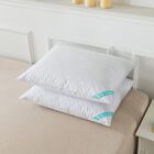 Antimicrobial Feather Pillow, Set 2 Bed Pillow, WHITE, hi-res image number null