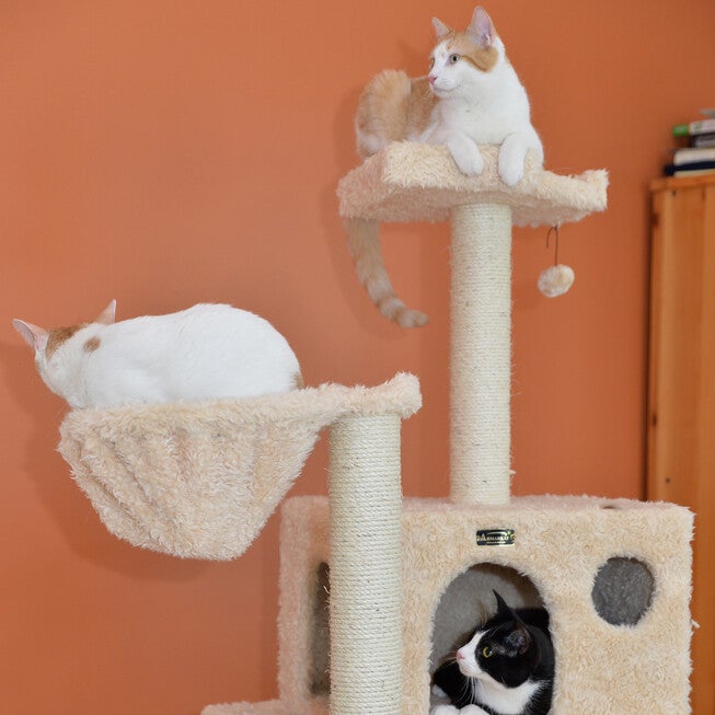 Mult-Level Real Wood Cat Tree Hammock Bed, Climbing Center, , alternate image number 3