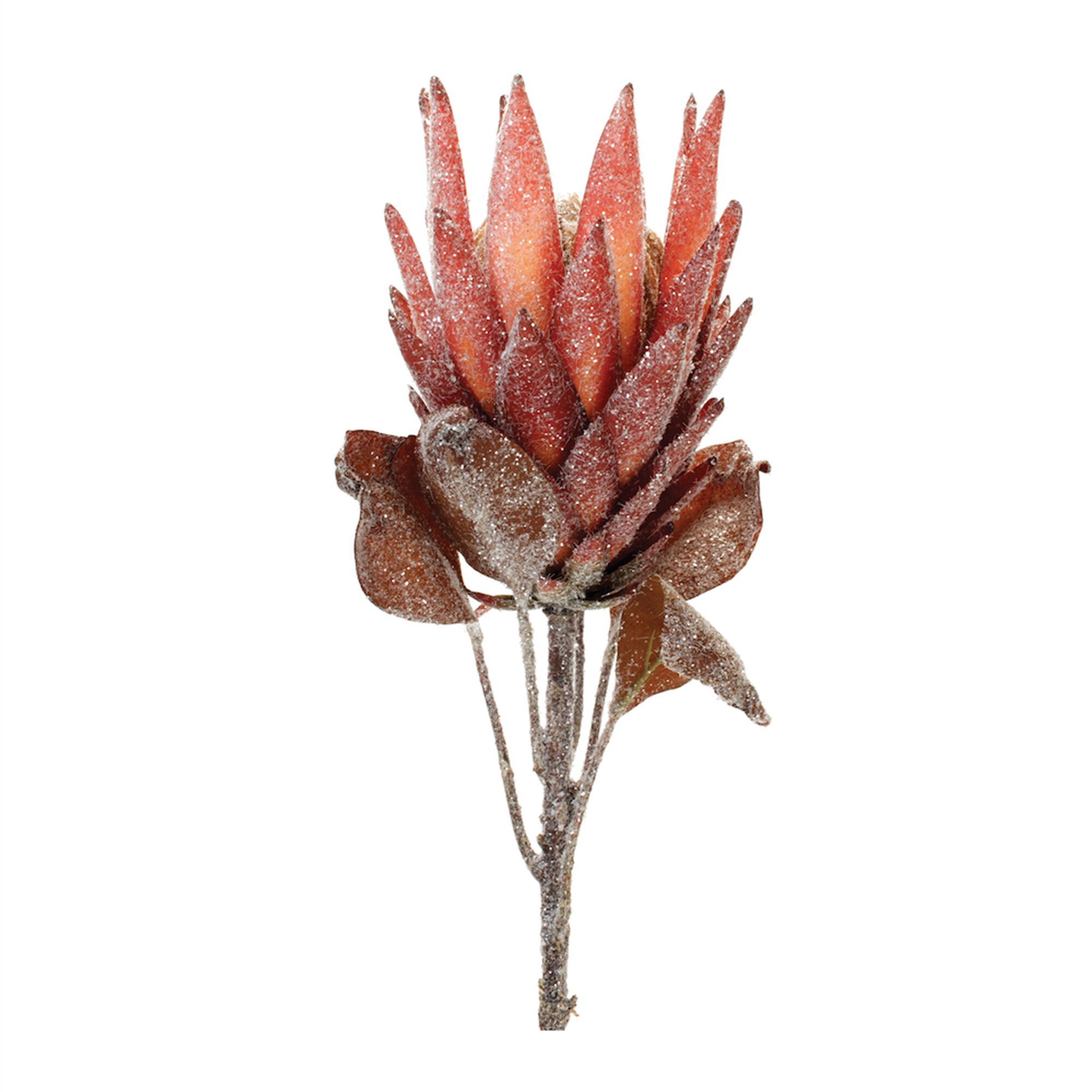 Red Protea Flower Stem (Set of 2), RED ORANGE, hi-res image number 0