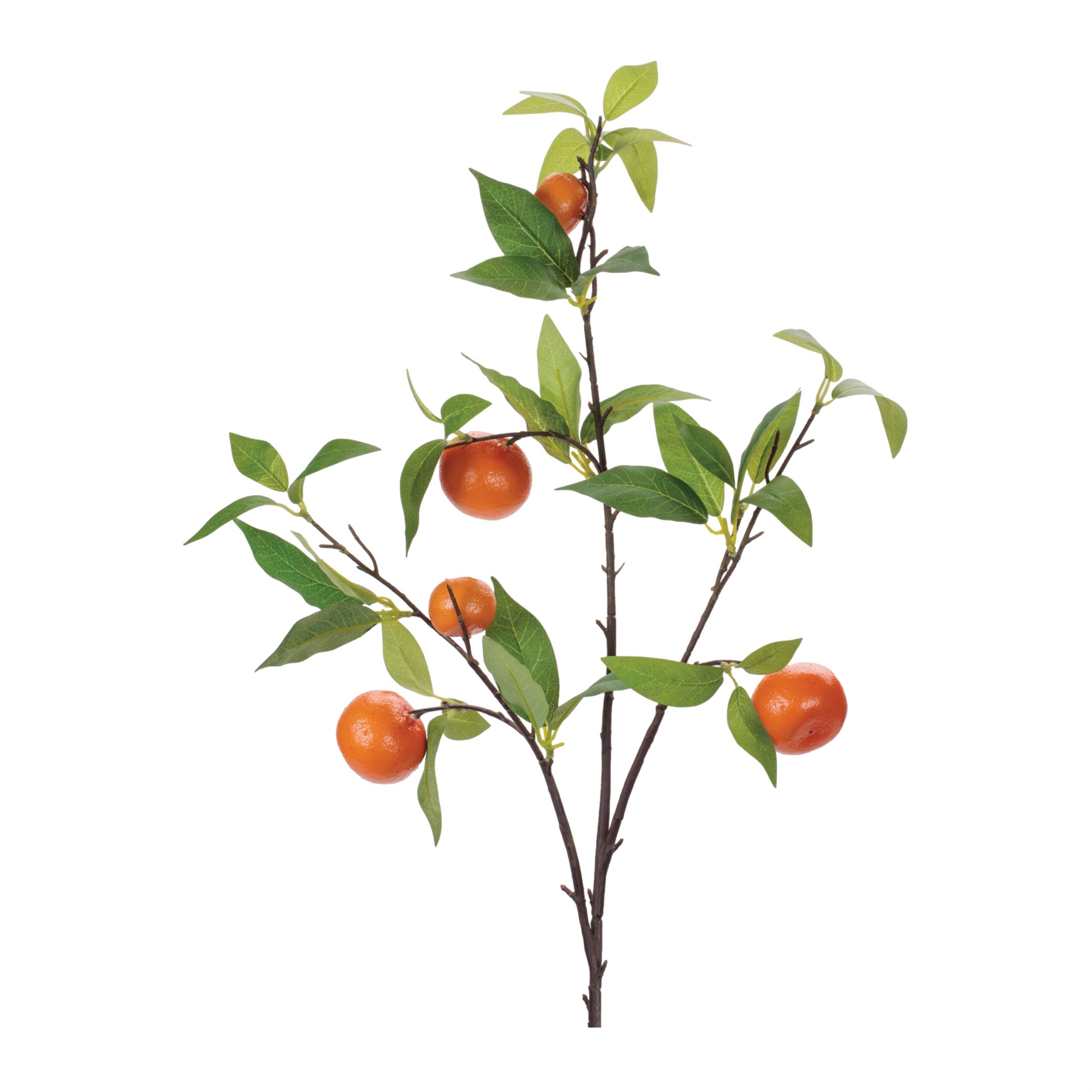 Orange Fruit Foliage Branch Set of 6, ORANGE GREEN, hi-res image number 0
