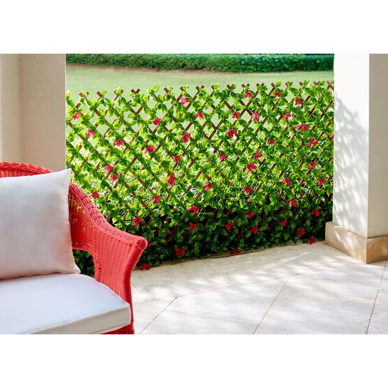 Purple Bougainvillea Privacy Screen, GREEN, hi-res image number null