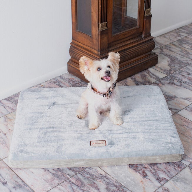 Memory Foam Orthopedic Dog Bed Mat, Sage Green/Grey, Small, , on-hover image number null