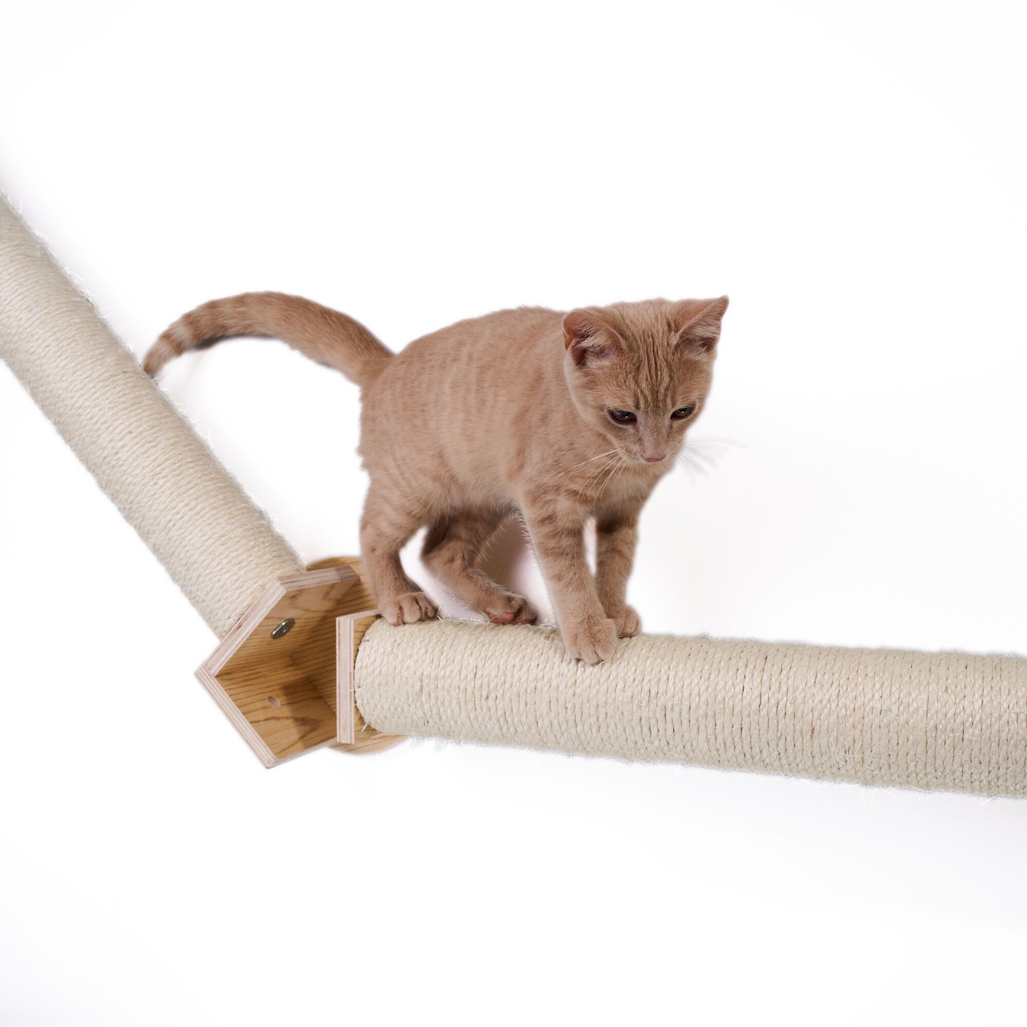 Armarkat Wall Series Wall Climbing Cat Post Bridge W2307, NATURAL BEIGE, alternate image number 5
