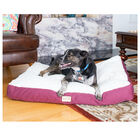 Large Pet Dog Bed, Mat With Poly Fill Cushion& Removable Cover, , alternate image number 7