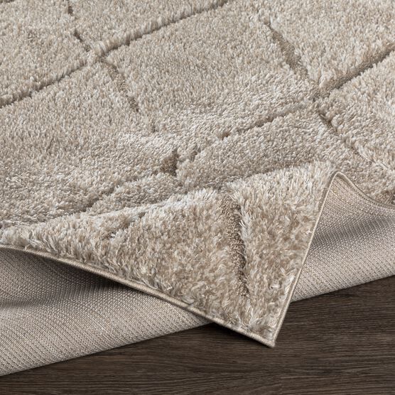 Elenor Enr-2300 Rug, , alternate image number null