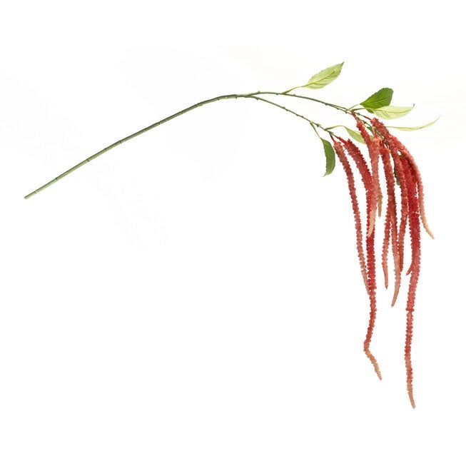 Amaranthus Stem (Set of 4) 53.25 inchesH Plastic/Polyester, GREEN/PINK, alternate image number 1