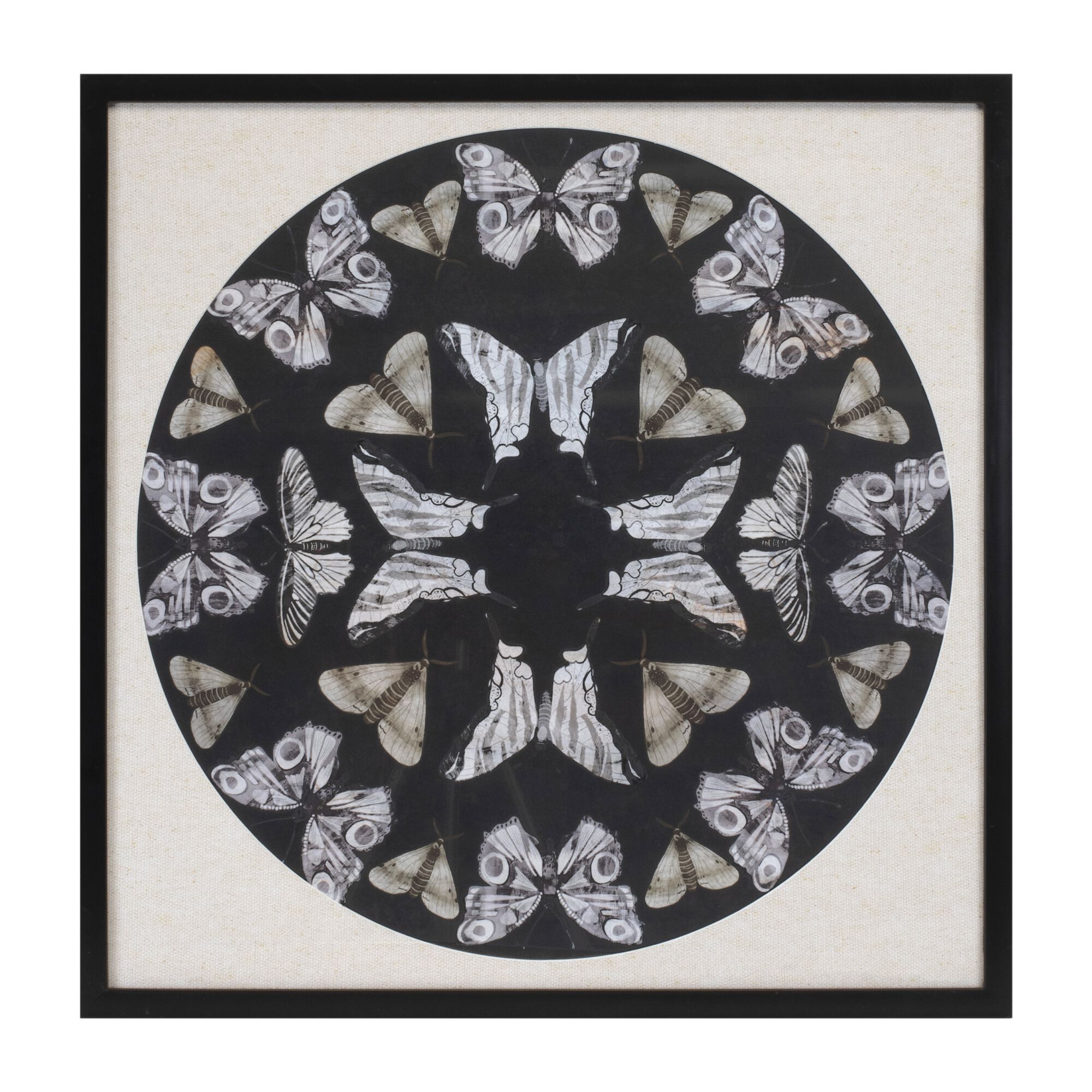 Framed Butterfly Print 25 inchesSQ, BLACK BEIGE, hi-res image number 0