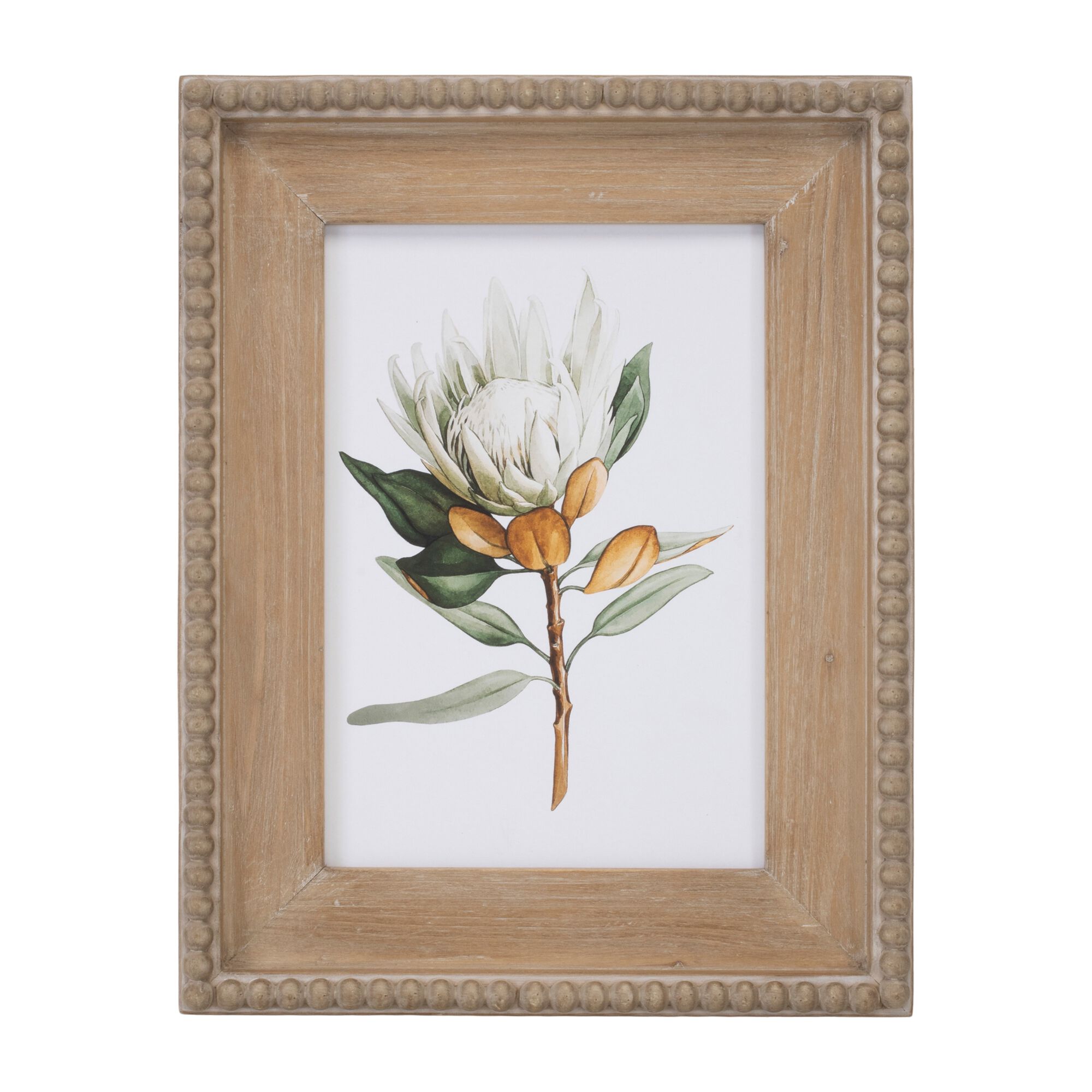 Wood Framed Protea Floral Print (Set of 2), GREEN WHITE BROWN, alternate image number 1