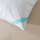 300 Thread Count Cotton White Duck Down Pillow Bed Pillow, , alternate image number null