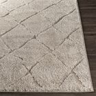 Elenor Enr-2300 Rug, , alternate image number null