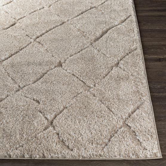 Elenor Enr-2300 Rug, , alternate image number null