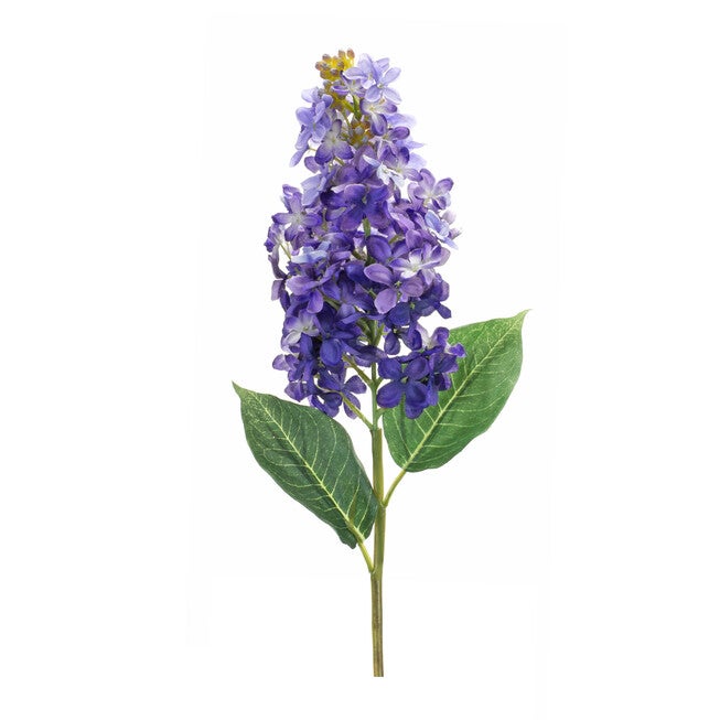Varigated Purple Lilac Flower Stem (Set Of 6), PURPLE, hi-res image number null