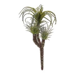 Air Plant Succulent Pick Set of 6