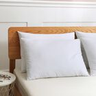 Twin Pack Duck Down Blended Bed Pillows with Cotton Cover, WHITE, hi-res image number 0