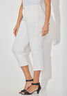 Secret Slimmer® Capri, , alternate image number null