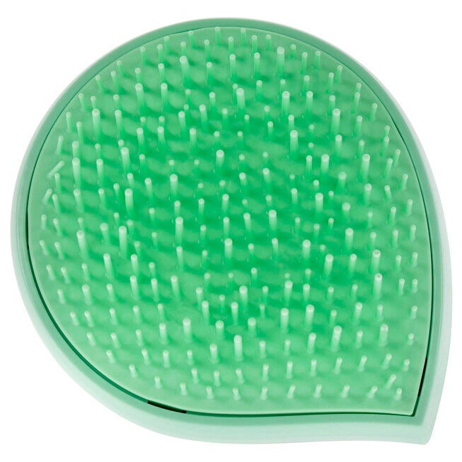 Pack and Go Detangler Regular Hair - Green-Pink by Michel Mercier for Unisex - 1 Pc Hair Brush, NA, alternate image number null