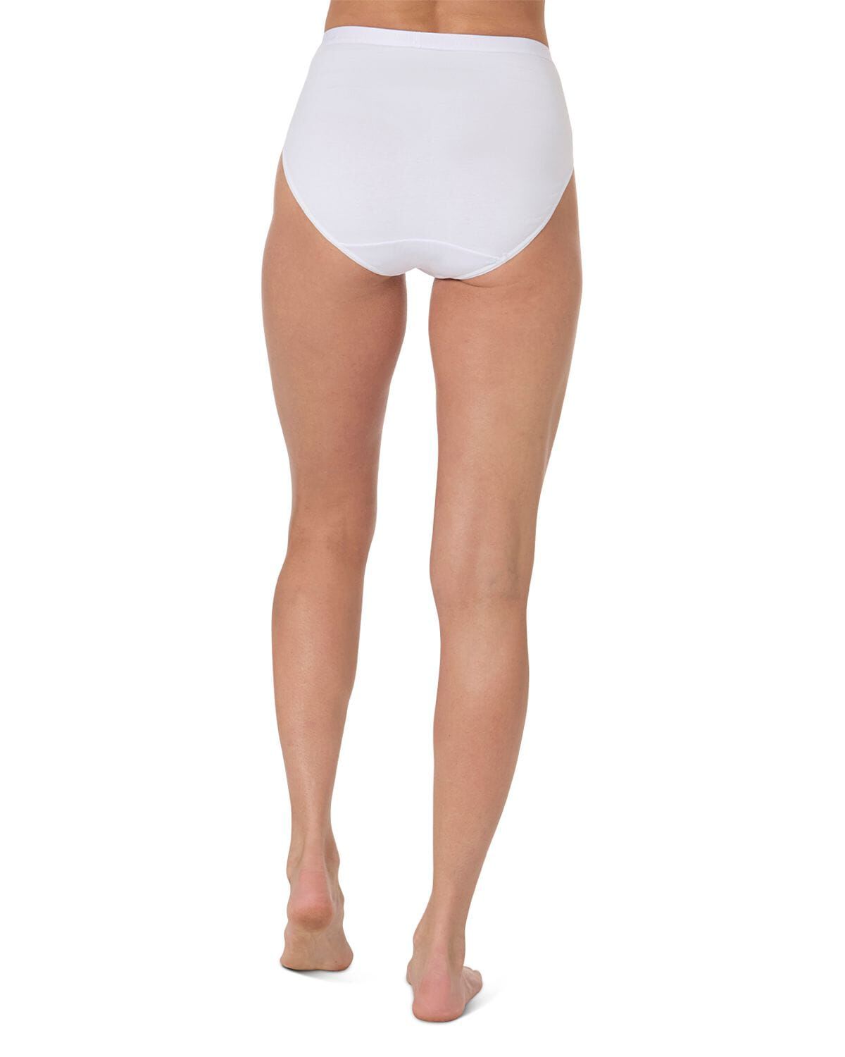 Ladies Combed Cotton Basic Brief Underwear 3-Pack, WHITE, alternate image number 2
